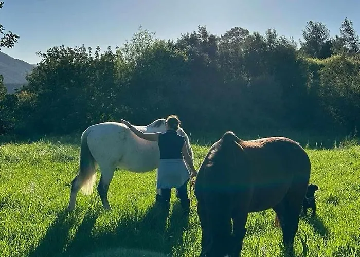 펜션 Anerada Apsiou