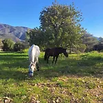 Holiday home Anerada
