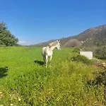 Anerada Apsiou