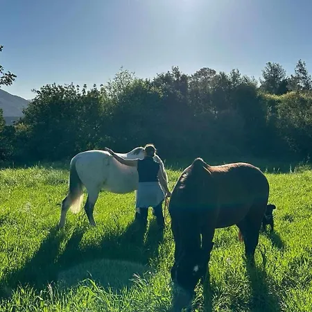 Vakantiehuis Anerada Apsiou