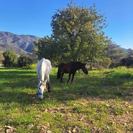 Holiday home Anerada