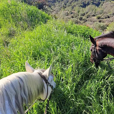 Anerada Vakantiehuis