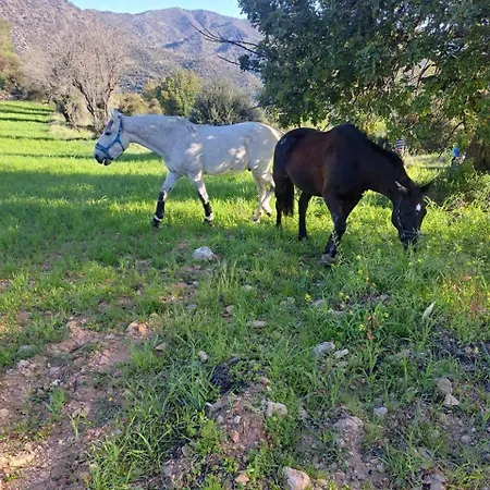 Vakantiehuis Anerada *