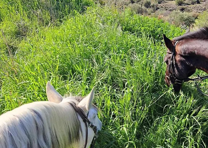Anerada Сasa de vacaciones