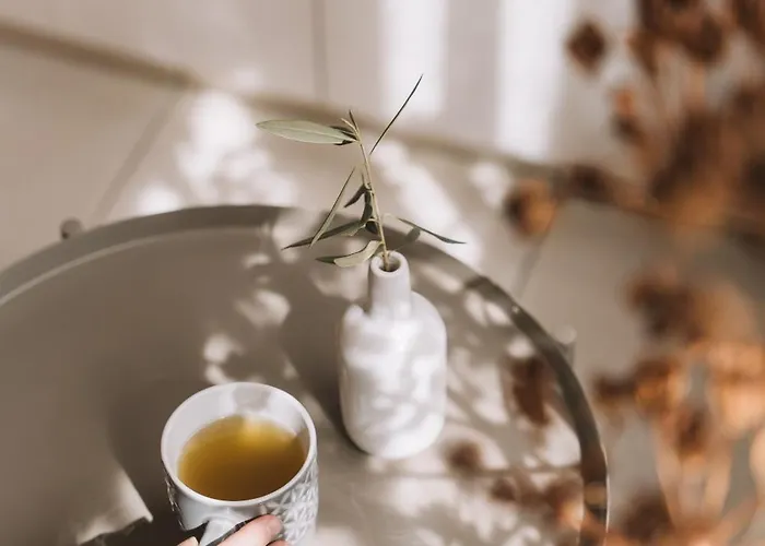 Anerada 別荘 Apsiou